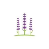 ilustración de icono de vector de flor de lavanda