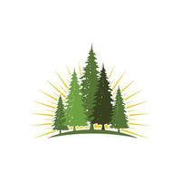 Cedar tree vector icon illustration