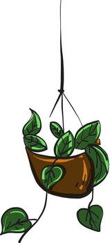 Hanging plant , illustration, vector on white background