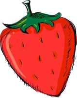 Red strawberry, illustration, vector on white background.