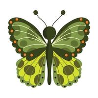 butterfly insect tropical animal, decorative wings on white background vector