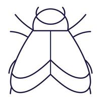 bug with wings animal in cartoon line icon style vector