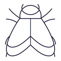 bug with wings animal in cartoon line icon style vector