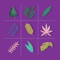 leaves foliage nature abstract decoration color background icons set vector