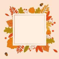 diferentes hojas de otoño en una plantilla de banner de marco. vector