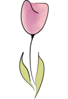 water color flower png