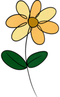 fiore di colore dell'acqua png