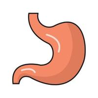 stomach vector illustration on a background.Premium quality symbols.vector icons for concept and graphic design.