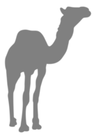 Camel Silhouette for Logo, Pictogram, Website, Apps, Art Illustration or Graphic Design Element. Format PNG