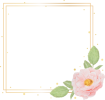 beautiful pink watercolor english roses with golden frame png