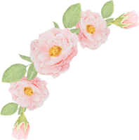 watercolor pink rose flower bouquet png