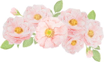 vattenfärg rosa reste sig blomma bukett png