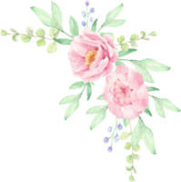 arranjo de buquê de flores de peônia rosa aquarela png