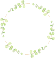 aquarela verde folhas de eucalipto círculo grinalda moldura png
