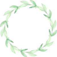 akvarell grön eukalyptus lämnar cirkel krans ram png