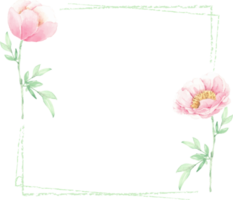 watercolor pink peony flower and green leaves elements minimal frame png