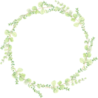 watercolor green eucalyptus leaves circle wreath frame png