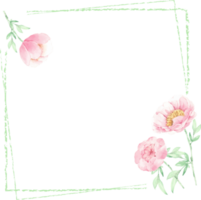 watercolor pink peony flower and green leaves elements minimal frame png