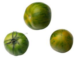 tomates sobre un fondo transparente png
