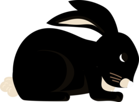 The black rabbit is sleeping. png