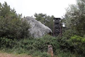 Stones in a city park by the sea in northern Israel photo