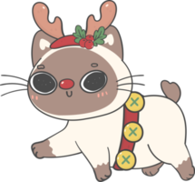 schattig calico bobtail katje katten met Kerstmis rendier gewei tekenfilm hand- tekening png