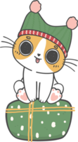 schattig Kerstmis ondeugend katje kat rassen met geschenk Cadeau doos tekenfilm tekening hand- tekening png