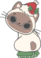 mignon chaton coquin de noël races de chat avec cadeau présent boîte dessin animé doodle dessin à la main png