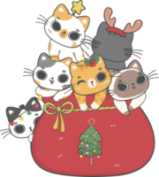 cute Christmas naughty kitten cat breeds in Santa sack cartoon doodle hand drawing png