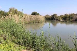 Vegetation on the banks of a river in northern Israel photo