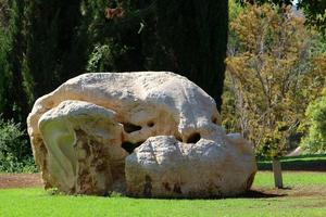 Stones in a city park by the sea in northern Israel photo