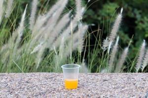 A non-alcoholic soft drink is poured into a glass. photo