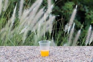 un refresco sin alcohol se vierte en un vaso. foto