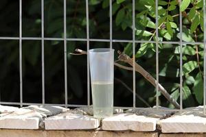 un refresco sin alcohol se vierte en un vaso. foto