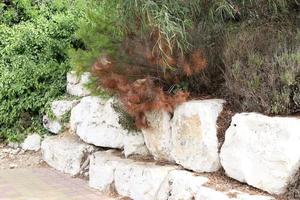 Stones in a city park by the sea in northern Israel photo