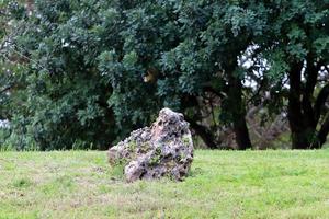 Stones in a city park by the sea in northern Israel photo