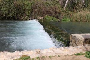 Vegetation on the banks of a river in northern Israel photo