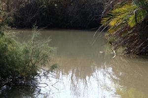 Vegetation on the banks of a river in northern Israel photo