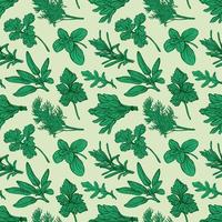 Italian herbs pattern. Provencal herbs pattern. photo