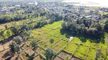 Aerail view of drone city town. photo