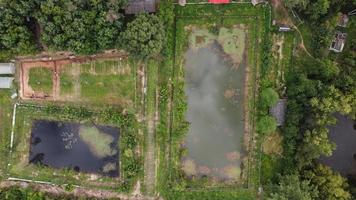 Topview of farm in thailand. photo