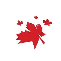 Maple leaf vector illustration