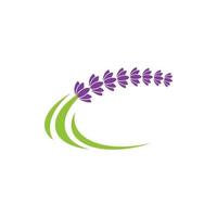 ilustración de icono de vector de flor de lavanda