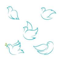 Bird wing Dove icon Template vector