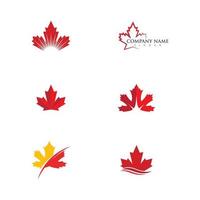 Maple leaf vector icon