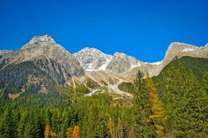 View on the mountains and the forest photo