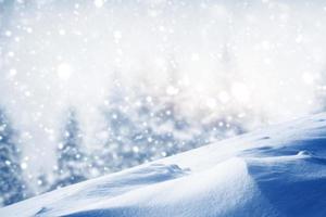 Frozen winter forest with snow covered trees. photo