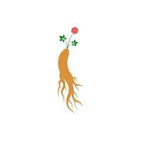 ilustración de icono de vector de ginseng