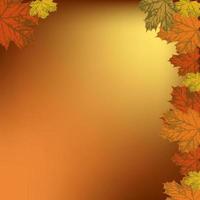 Maple leaves on an orange background. Postcard with copy space. Universal autumn background. Vector. vector