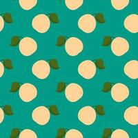 Apricot fruit , seamless pattern on a green background. vector